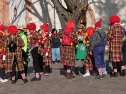 14_Strassenfasnet